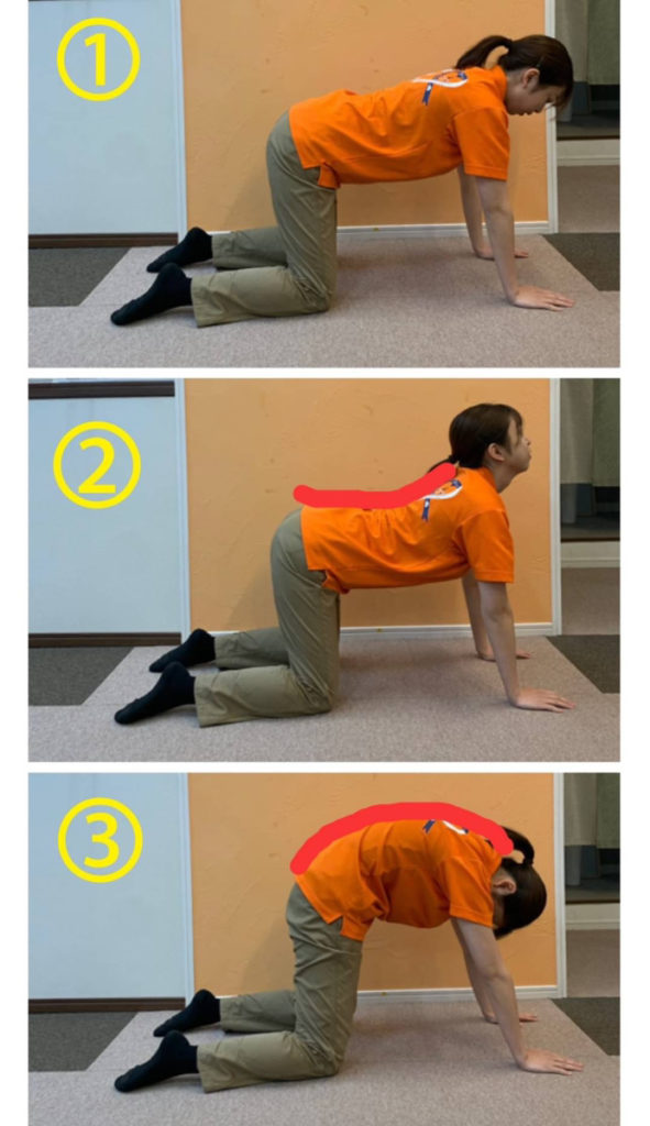 膝立ちで前屈するストレッチの手順（1・2・3）