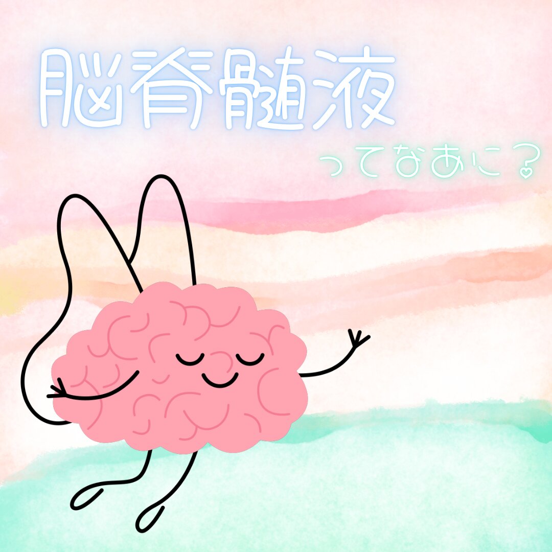 脳脊髄液.png